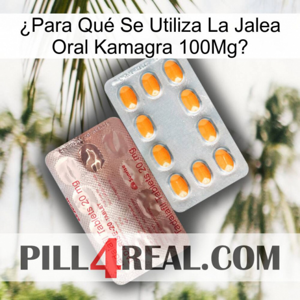 ¿Para Qué Se Utiliza La Jalea Oral Kamagra 100Mg new13.jpg